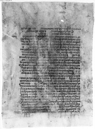 Glossarium Salomonis sive Mater verborum. Herbae pictae cum explicatione [u.a.] - BSB Clm 17403