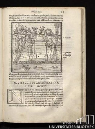 Liber nonvs