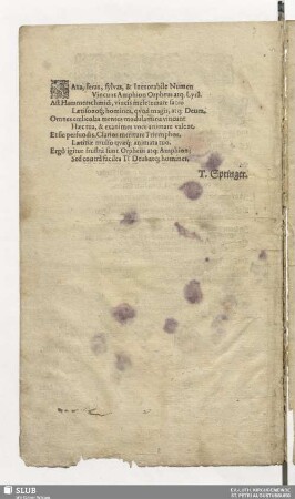 Springer, T.: Saxa, feras, sylvas