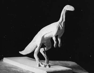 Urzeitliche Tiere. Saurier. Gipsmodell eines Laosurus (Steinechse). Erster Fund 1878