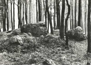 Landkreis Meißen. Golkwald. Heidegräber, Naturdenkmal Riesensteine. Gangquarzit (im Meißner Granit)