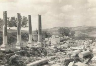 Westjordanland. Samaria. Ruinen des Herodespalast