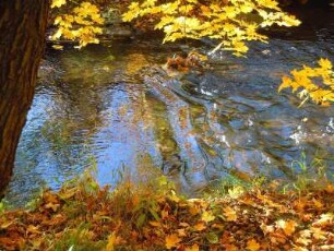 Herbsttag im Selketal am Fluss Selke : Das Tal des kleinen Flusses Selke im Unterharz ist ein beliebtes Wandergebiet. Aufgenommen an einem sonnigen Herbsttag, am 21. Oktober 2012, bei Alexisbad