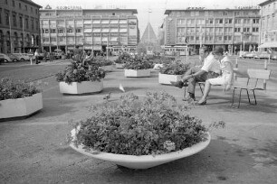 Blumenschmuck am Karlsruher Marktplatz.