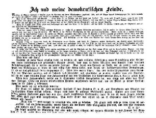 Ich und meine demokratischen Feinde.