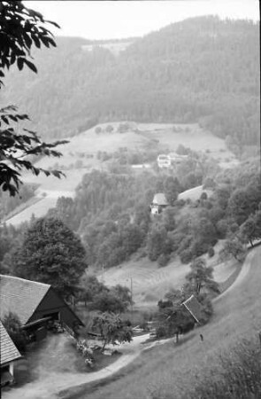 Wildgutach: Talblick oberes Simonswäldertal