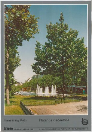 Hansjakob, Gottfried; Köln; Westliche Ringstraße - Plakat Hansaring Köln