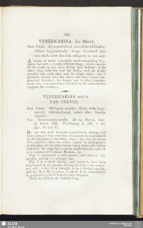 Venericardia. La Marck