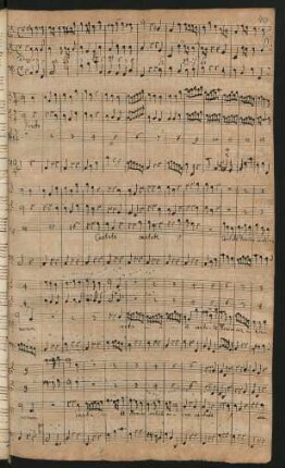 Cantate Domino canticum novum; S, vl (2), bc; C-Dur