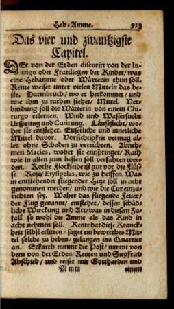 Das vier und zwantzigste Capitel.