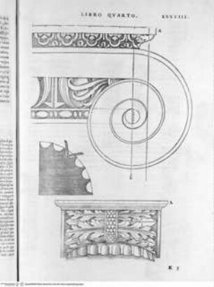 Regole generali di architettura di Sabastiano Serlio bolognese sopra le cinque maniere degli edifici, ... (4. Buch), Folio XXXVIII: Ionische Ordnung, Säule, Details