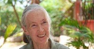 Jane's Journey - Die Lebensreise der Jane Goodall