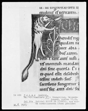 Evangeliar: Initiale F, aus einem Löwen gebildet