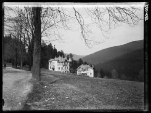 Bärenfels bei Kipsdorf