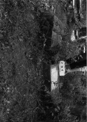 Grabstein 284 (Index: 100095745) Maße HxBxT: 170x49x17 cm: Grabstein 284