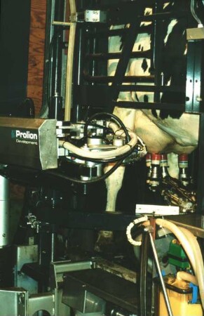Fotografie: Melktechnik, Automatisches Melksystem (AMS)