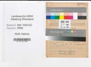 Entnazifizierung Helmut Wolf, geb. 17.10.1907 (Arzt)