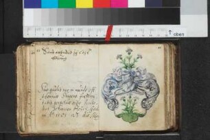 Hoyer, Johann; Blatt 31