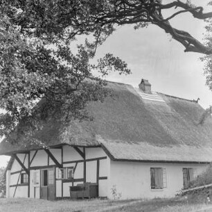 Fachwerkhaus mit einem Reetdach