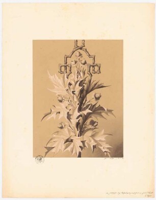 Pflanzliche Ornamente: Ansicht