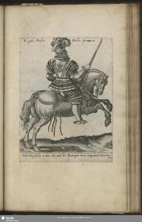 Regina Anglicae satteles ferentarius