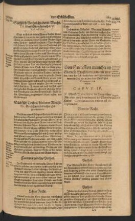 Von Succession mancherley Eltern/ so Stieffeltern genannt werden/ ... Caput IV.