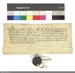 Revers des Ekarius von Sternberg bezüglich der Belehnung mit zwei Vorwerken in Milz und weiteren im Einzelnen aufgeführten Lehen durch Reinhard [von Weilnau], Abt von Fulda
