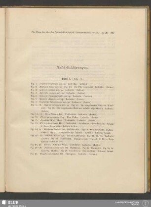Tafel-Erklärungen