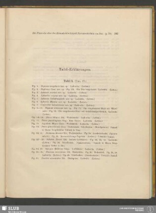 Tafel-Erklärungen