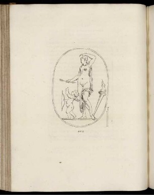 [Abbildung] XVII