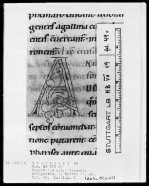 Augustinus, Sermones — Initiale A, Folio 49verso