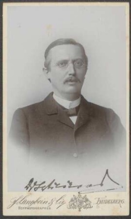 Wilckens, Karl, Nationalliberale