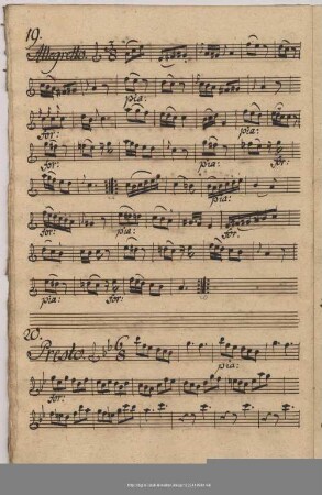 19. Allegretto, C-Dur