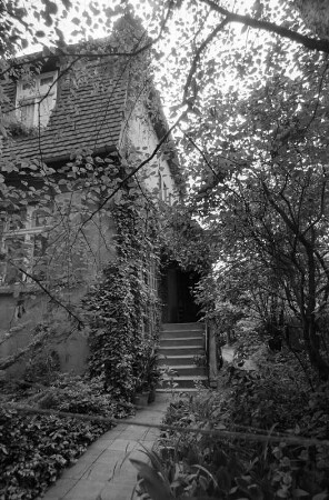 Blick auf ein Wohnhaus mit zugewachsenem Hauseingang, Dessau