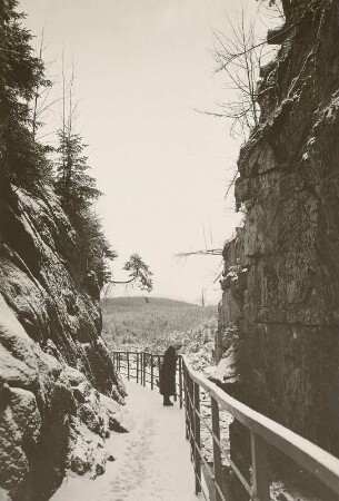 Riesengebirge. Zackelklamm