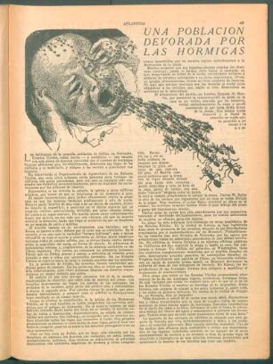 Una población devorada por las hormigas