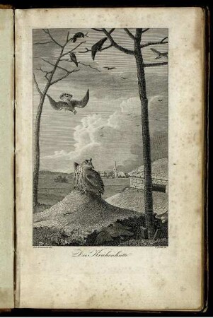 Theil 4, Taf: Johann Andreas Naumann's Naturgeschichte der Vögel Deutschlands. Theil 4, Taf