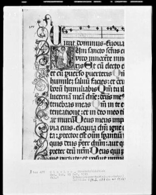 Psalterium — Initiale C (um sanctis), darin eine Schmerzensmutter