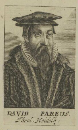 Bildnis des David Pareus