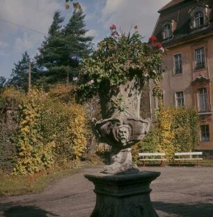 Lichtenwalde. Schloßvorplatz mit Schmuckvase. Sandstein