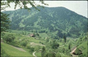 Münsterhalden im Münstertal