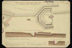 Fort Carthaus