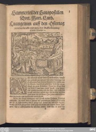 Summertheil der Hauspostillen Doct. Mart. Luth.
