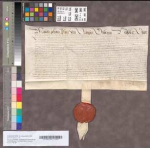 Octrooie van het Hof van Utrecht voor Walraven van Brederode, om van zijn goederen te disponeeren, 1618. Perkament met uithangende zegel.