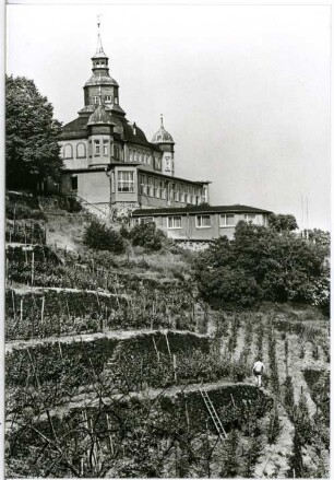 Radebeul. Spitzhaus Vollbild