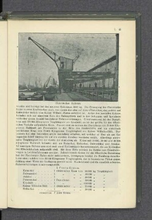 Elektrischer Kaikran.