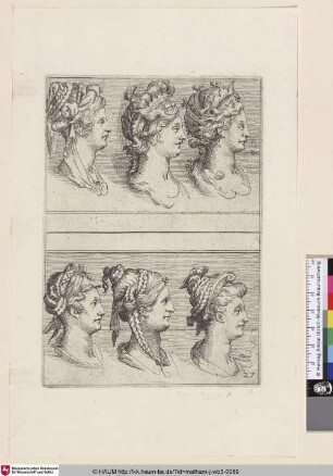 [Sechs weibliche Büsten im Profil mit vdiversen Frisuren; Six femaile bustes in profile with various head-dresses]
