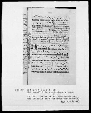 Antiphonarium (Benediktinerhandschrift) — Initiale N(on turbetur cor vestrum), Folio 224recto