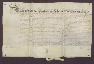 Hans Nickel Rapp und seine Ehefrau Katharina sowie Anna, Witwe des Georg Seitz, verkaufen an die Schaffnei des Klosters Neuburg ihr Haus samt Zubehör in Schwetzingen um 290 Gulden.