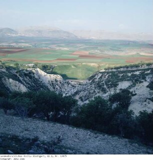 Syrien: Orontestal
